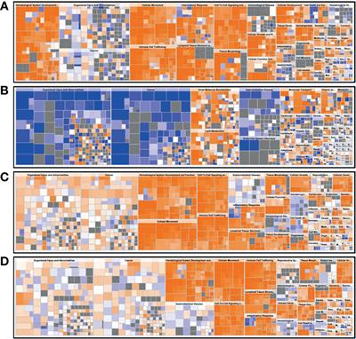 Intestinal Microbiota and Gene Expression Reveal Similarity and Dissimilarity Between Immune-Mediated Colitis and Ulcerative Colitis